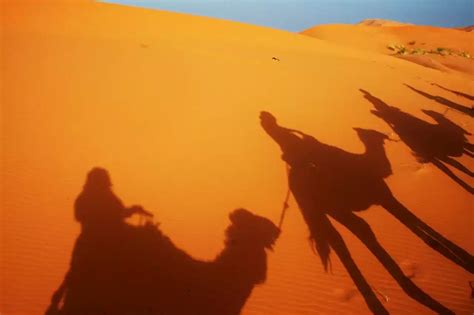 kushshu|The Rise, Fall and Underestimated Rule of Kush .
